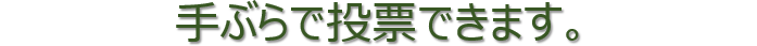 手ぶらで投票できます。